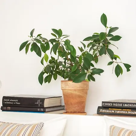Apartament Bohema No.1 Apartment Warsaw